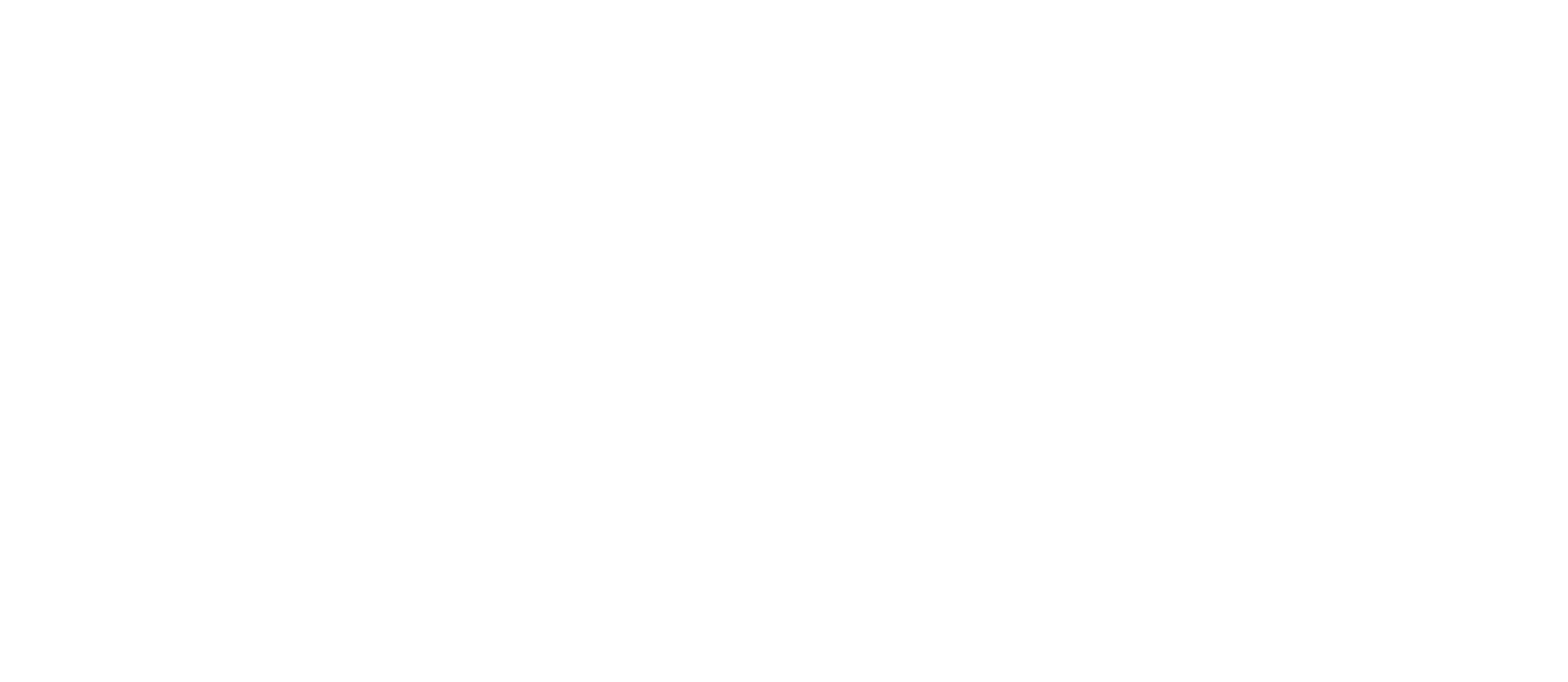 lazoAcademy01